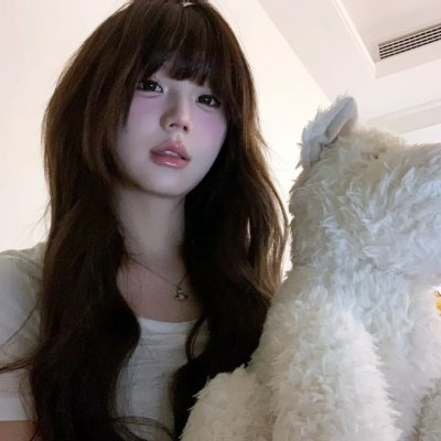 壳中少女 排气
