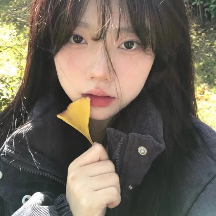 水龙吟